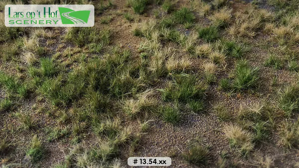 Hovedbilde Lars op 't Hof - Meadow summer - arid, medium