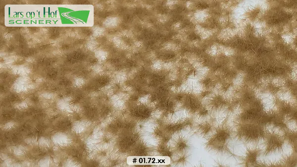 Hovedbilde Lars op 't Hof - Grass tufts dry - short