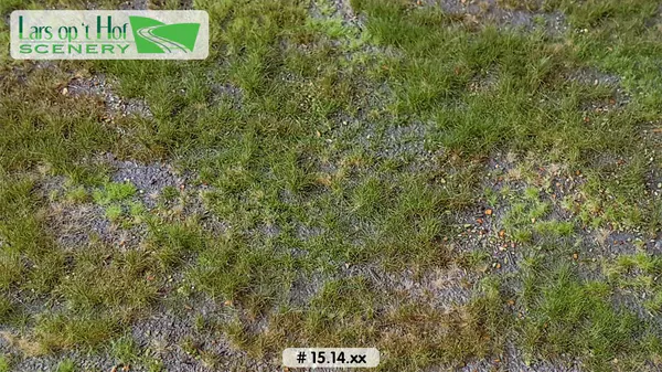 Hovedbilde Lars op 't Hof - Forest floor type 1, large