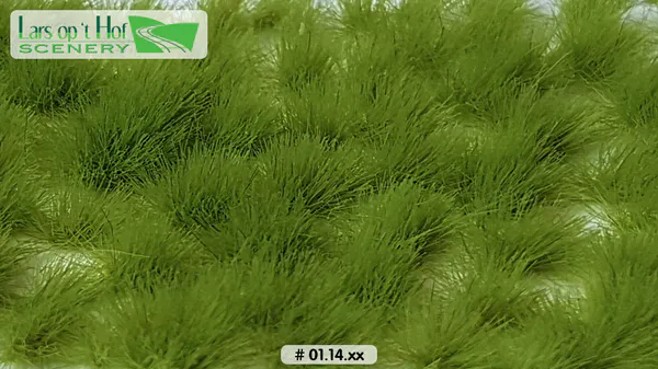 Hovedbilde Lars op 't Hof - Grass tufts pasture spring - short