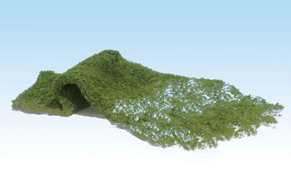 Hovedbilde Woodland - Foliage, light green