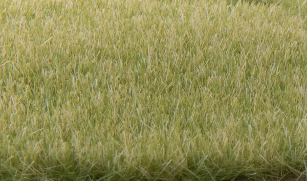 Hovedbilde Woodland - Field System, Statisk gress, light green 4mm
