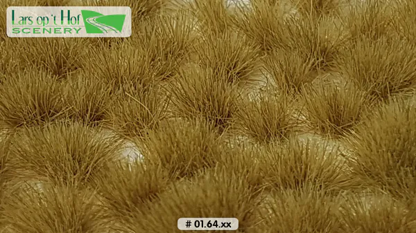Hovedbilde Lars op 't Hof - Grass tufts late autumn - long