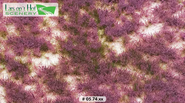 Hovedbilde Lars op 't Hof - Heather summer