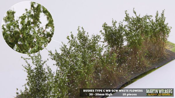 Hovedbilde Martin Welberg - Busker type C, hvite blomster