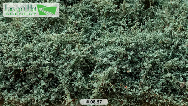Hovedbilde Lars op 't Hof - Sea buckthorn