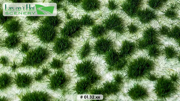 Hovedbilde Lars op 't Hof - Grass tufts early summer - short