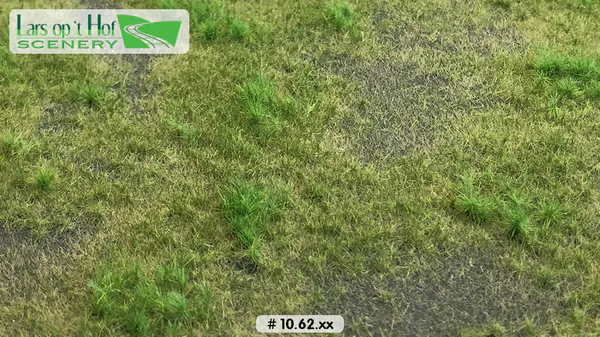 Hovedbilde Lars op 't Hof - Pasture with soil summer - short, large