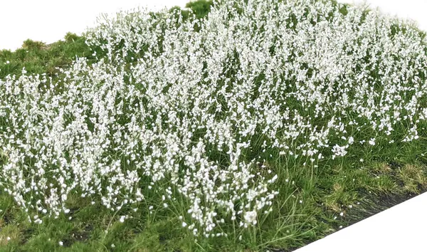 Hovedbilde Martin Welberg - Gresstuster, Layered Flowers White