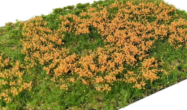 Hovedbilde Martin Welberg - Gresstuster, Layered Flowers Orange