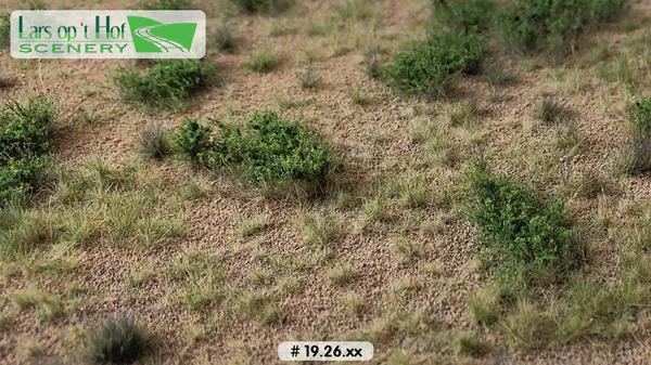 Hovedbilde Lars op 't Hof - Desert with bushes - type 1, small