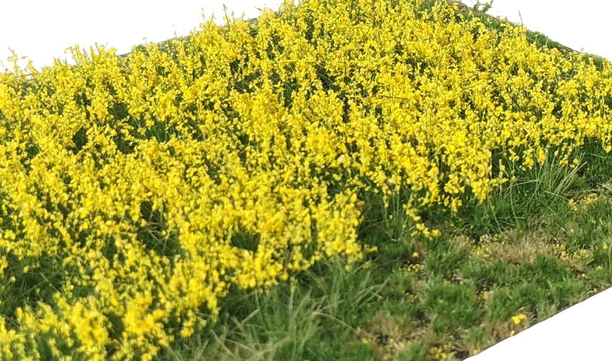 Martin Welberg - Gresstuster, Layered Flowers Yellow