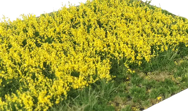 Hovedbilde Martin Welberg - Gresstuster, Layered Flowers Yellow