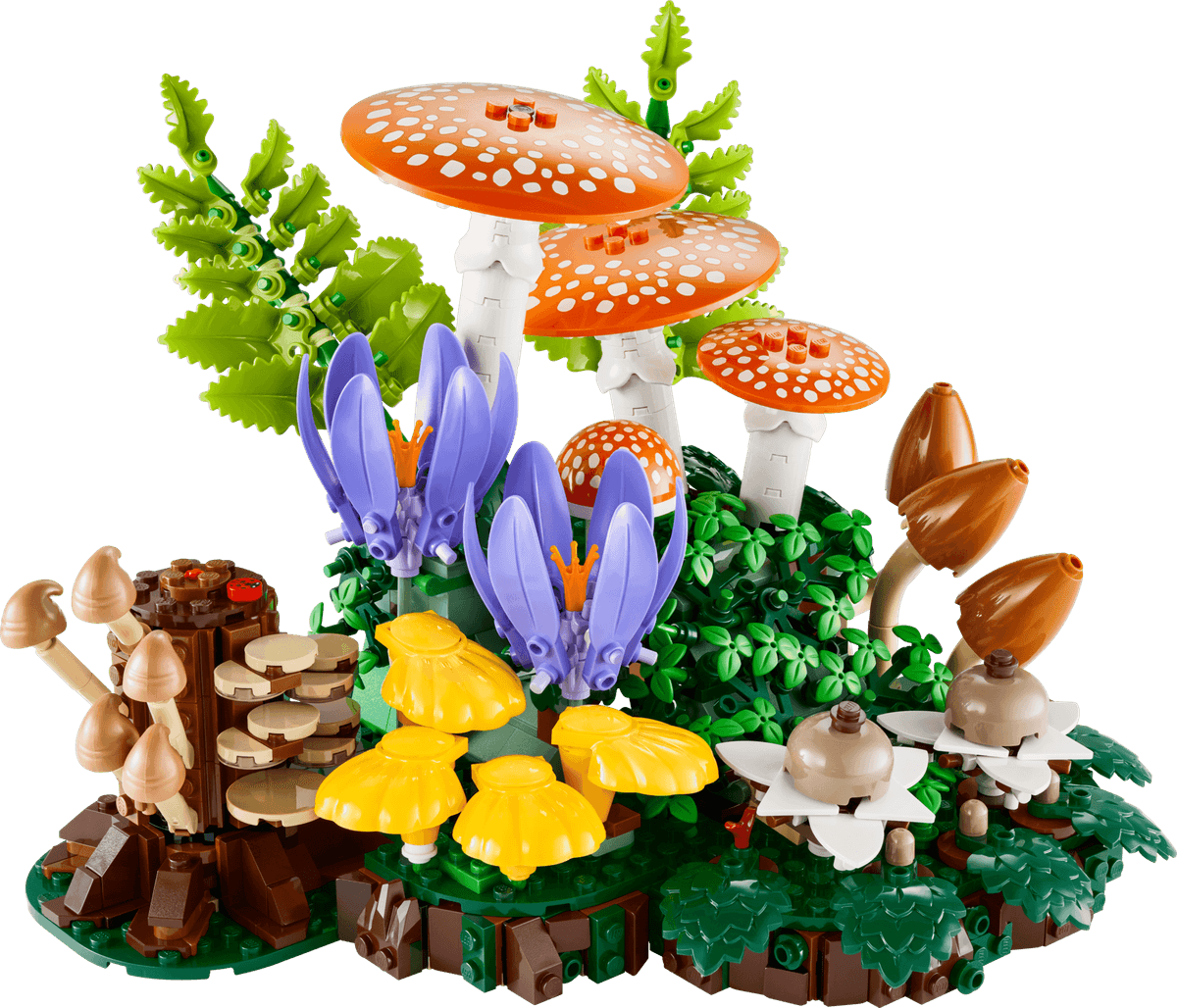 LEGO 11505 - Botanicals, Skogsopp